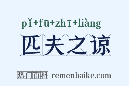 匹夫之谅是什么意思的图片